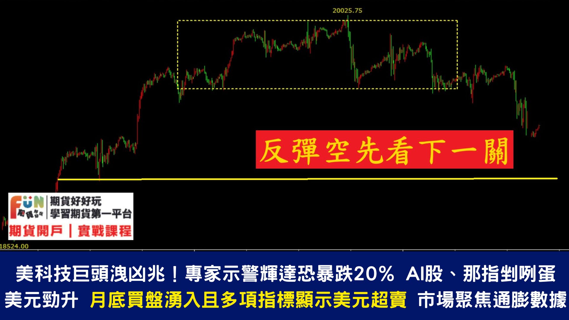 20240829 輝達財報明明超出預期，為何股價還驟跌8%？市場在怕什麼？